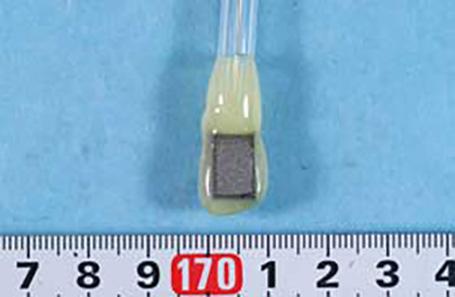 Sample electrode taken from an artificial joint