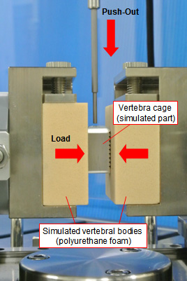 Detail of vertebra cage push-out part (vertebra cage is the simulated part)