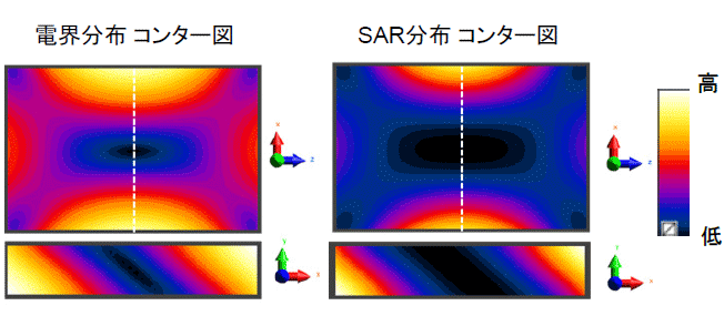 電界分布コンター図・SAR分布コンター図