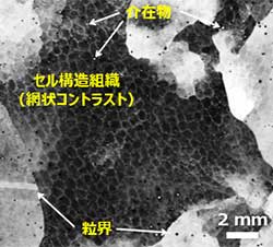 反射電子像写真