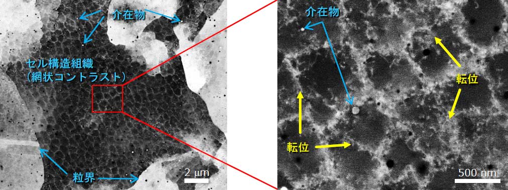 SEM-ECCI法観察写真