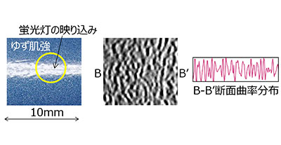 塗装表面のゆず肌測定(樹脂)写真