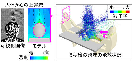 図1　オフィス空間における飛沫シミュレーションの例