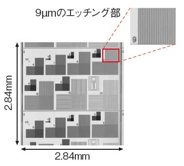 局所測定の結果