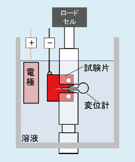 装置の模式図