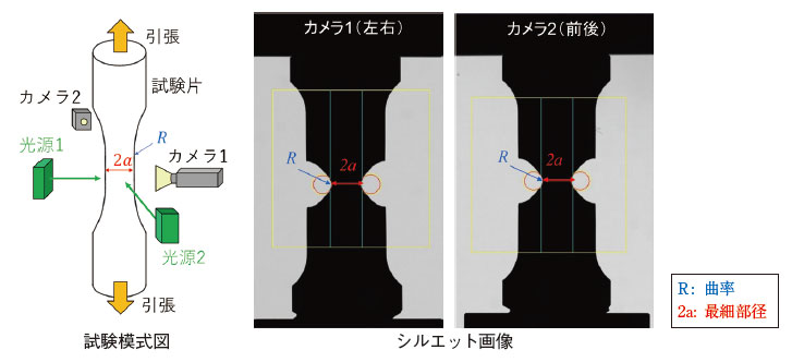 シルエット計測