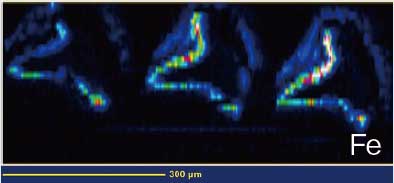 元素イメージング（Fe）